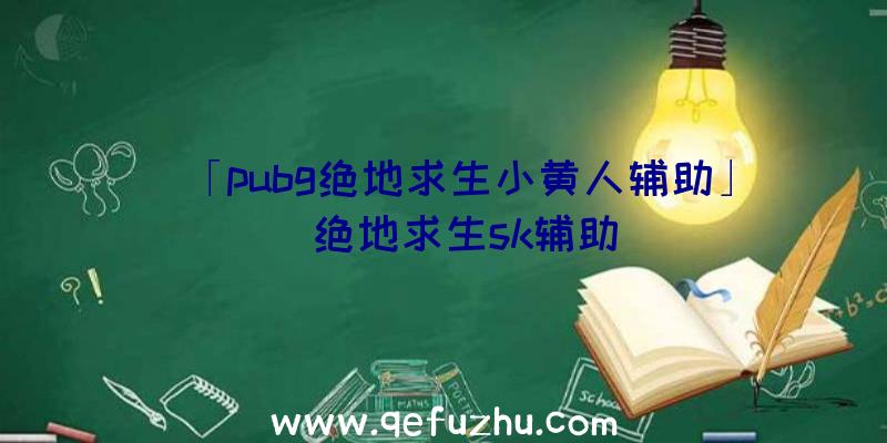 「pubg绝地求生小黄人辅助」|绝地求生sk辅助